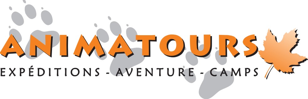 Logo de Animatours