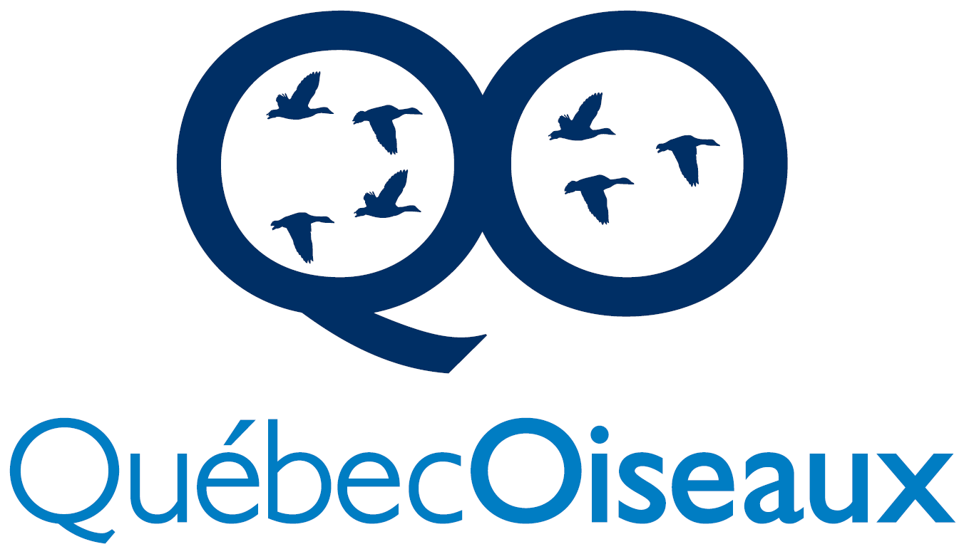 Logo de Québecoiseaux